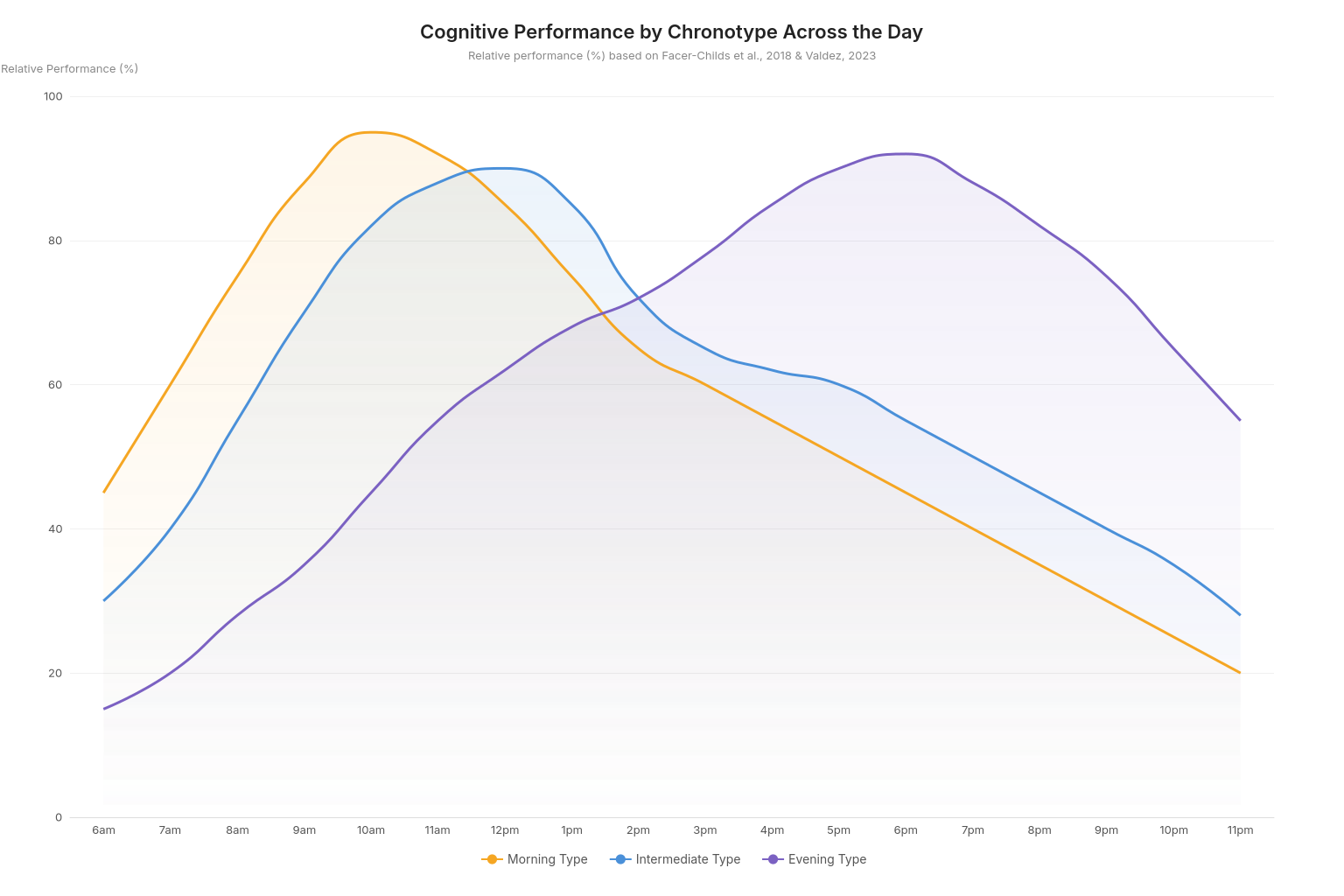 Line chart showing cognitive performance curves for morning, intermediate, and evening chronotypes across a 24-hour day